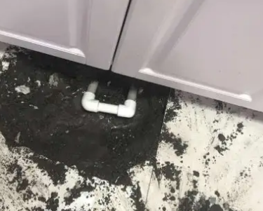 东安查漏水哪家好